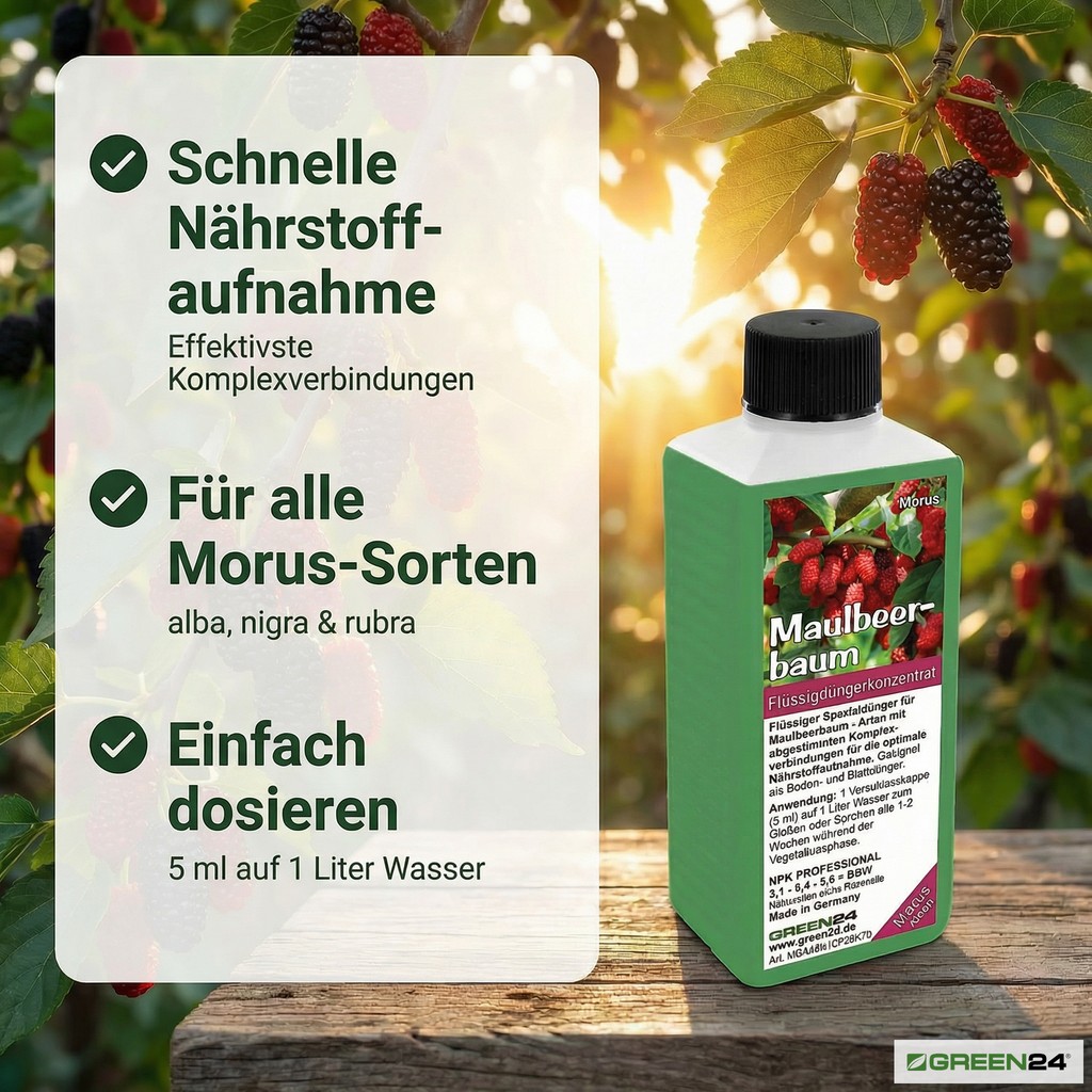 Maulbeerbaum-Dünger mit  Auflistung von drei zentralen Vorteilen