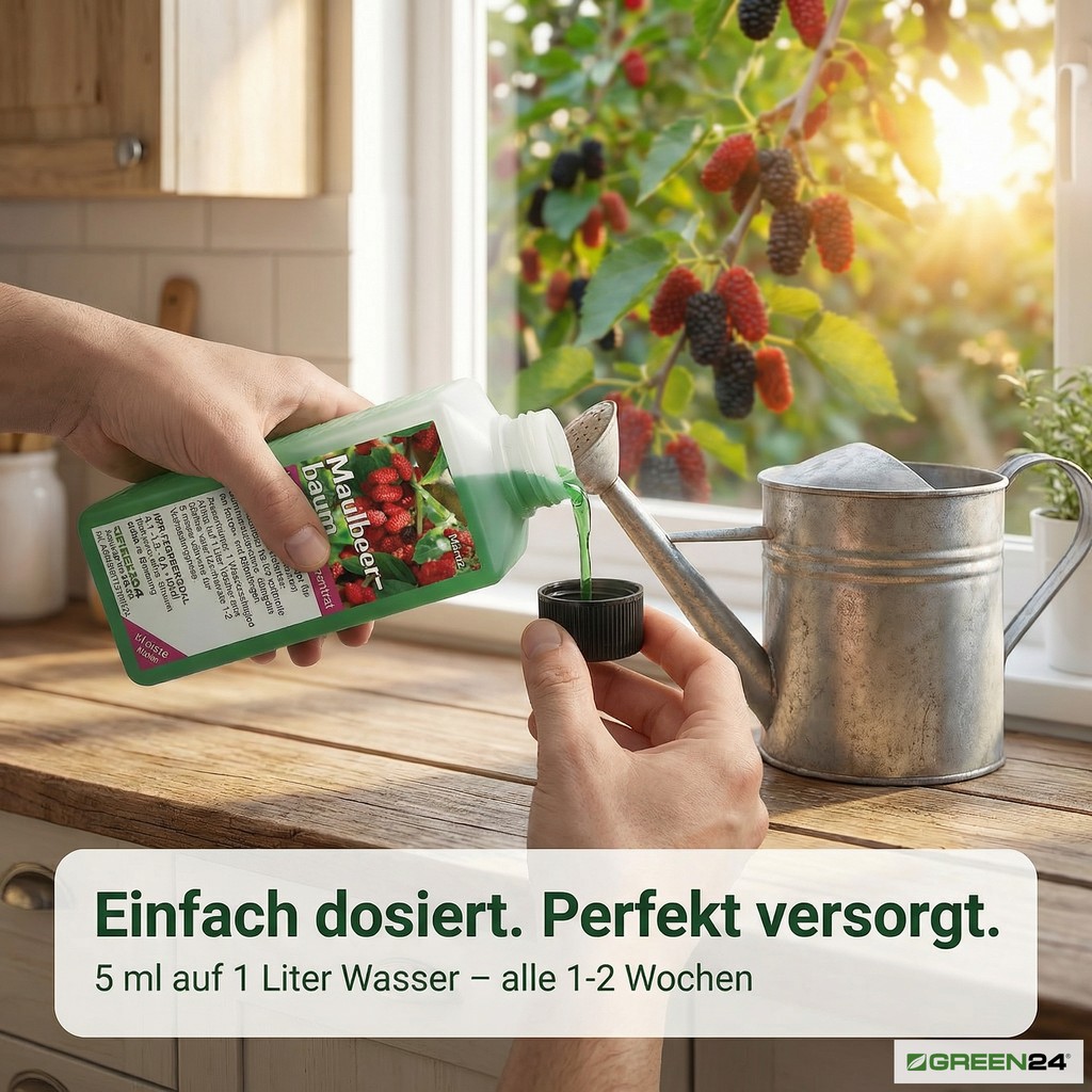 Maulbeerbaum-Dünger Dosierung mit der Verschlusskappe