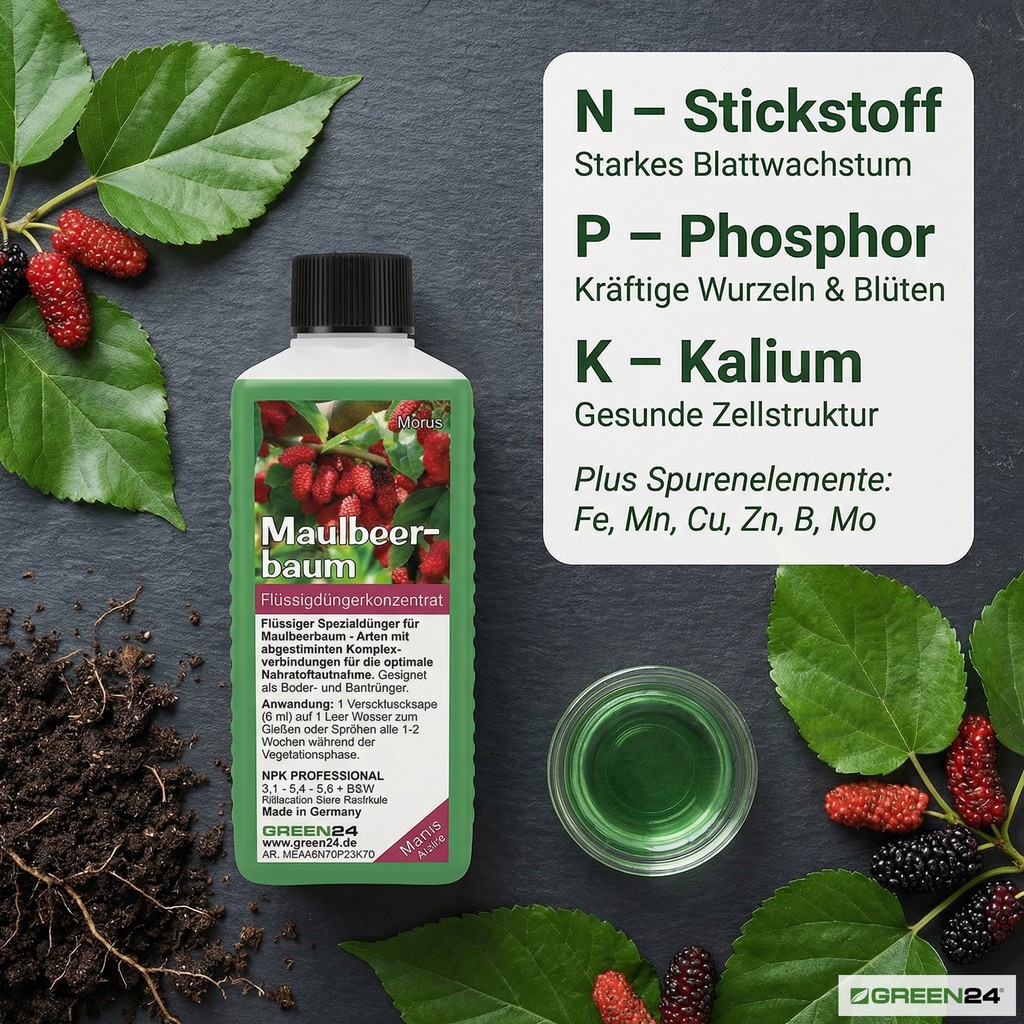 NPK-Nährstoffe im Maulbeerbaum-Dünger, dargestellt mit der Produktflasche, Blättern und Früchten.