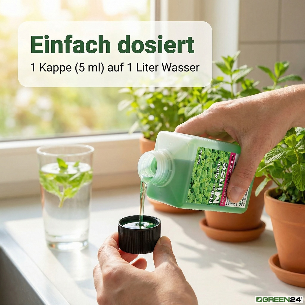 Anwendung des GREEN24 Minze-Düngers: Die Verschlusskappe wird zur Dosierung verwendet.