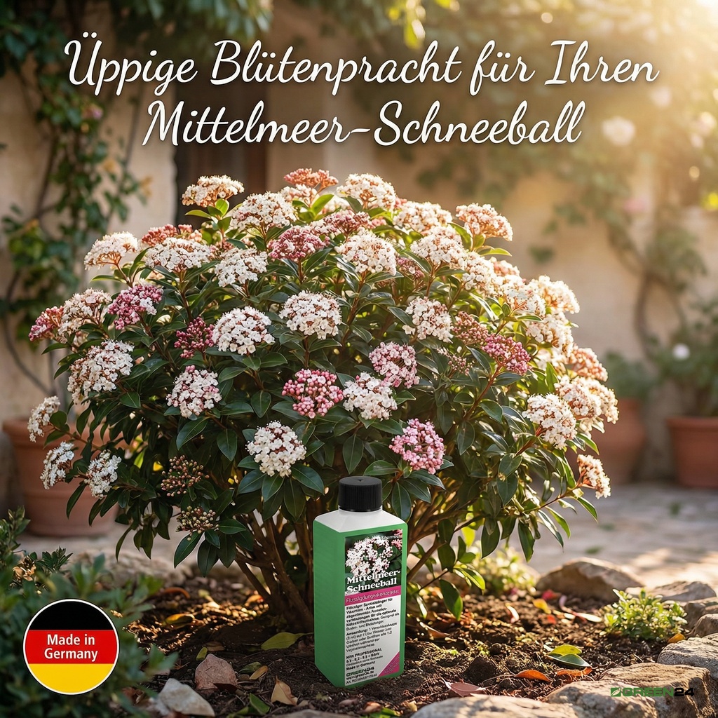 Mittelmeer-Schneeball Dünger - Üppige Blütenpracht für Ihren Mittelmeer-Schneeball