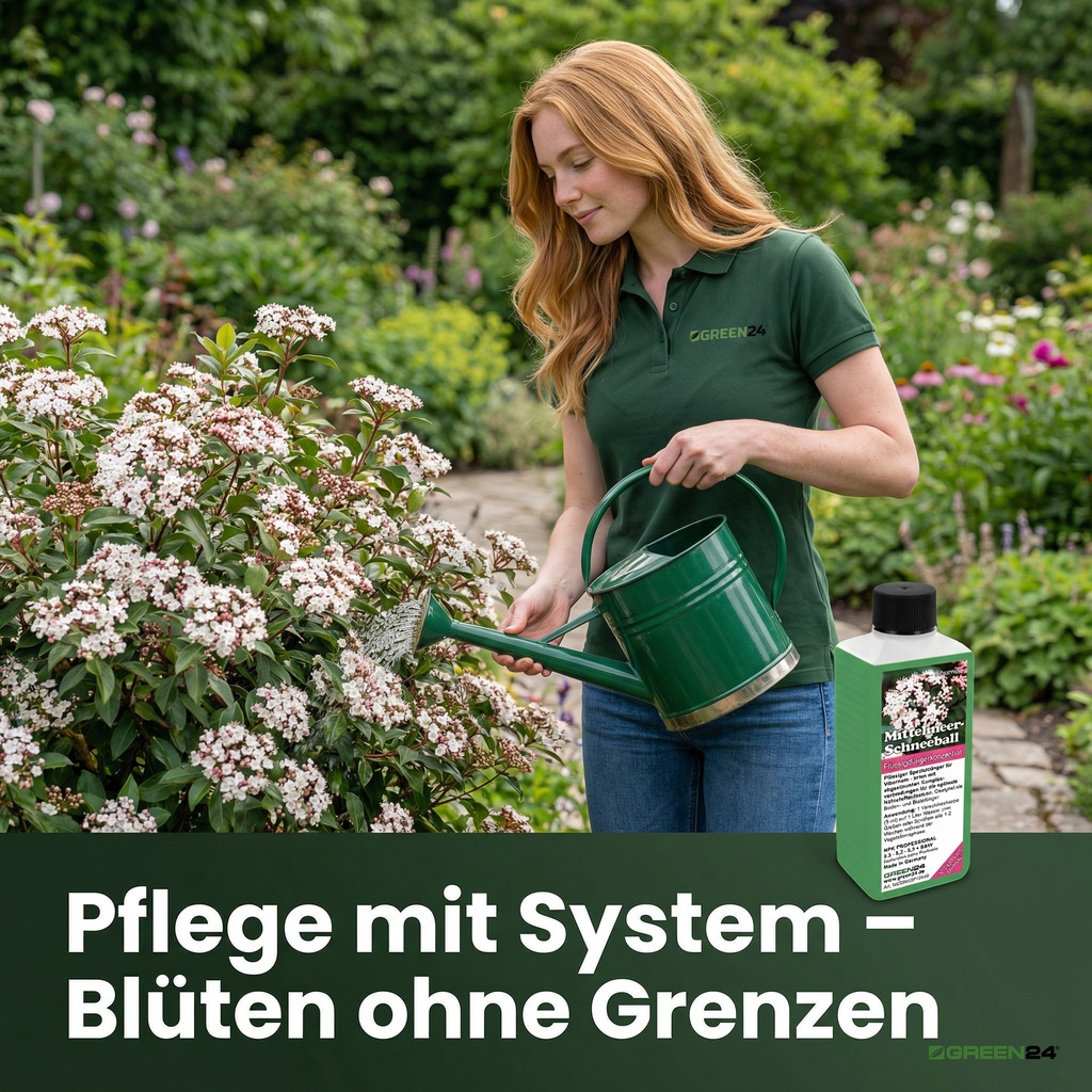 Pflege mit System – Blüten ohne Grenzen