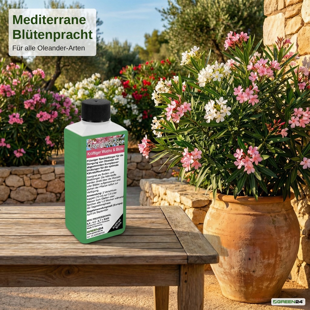 Oleanderdünger für Mediterrane Blütenpracht