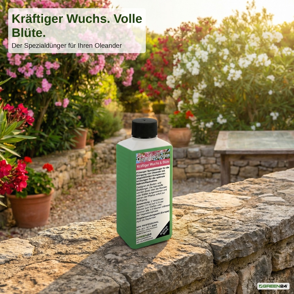 Oleanderdünger - Kräftiger Wuchs. Volle Blüte.