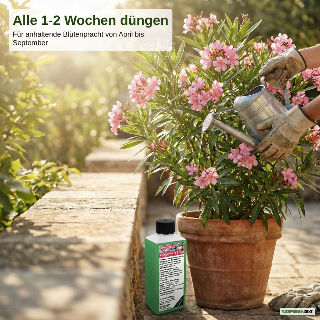 Düngung - Alle 1-2 Wochen düngen