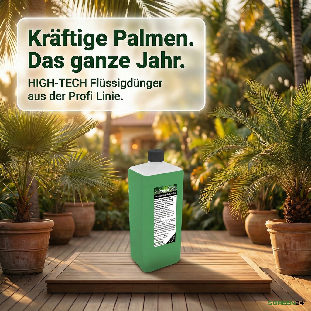Palmendünger. Kräftige Palmen. Das ganze Jahr.