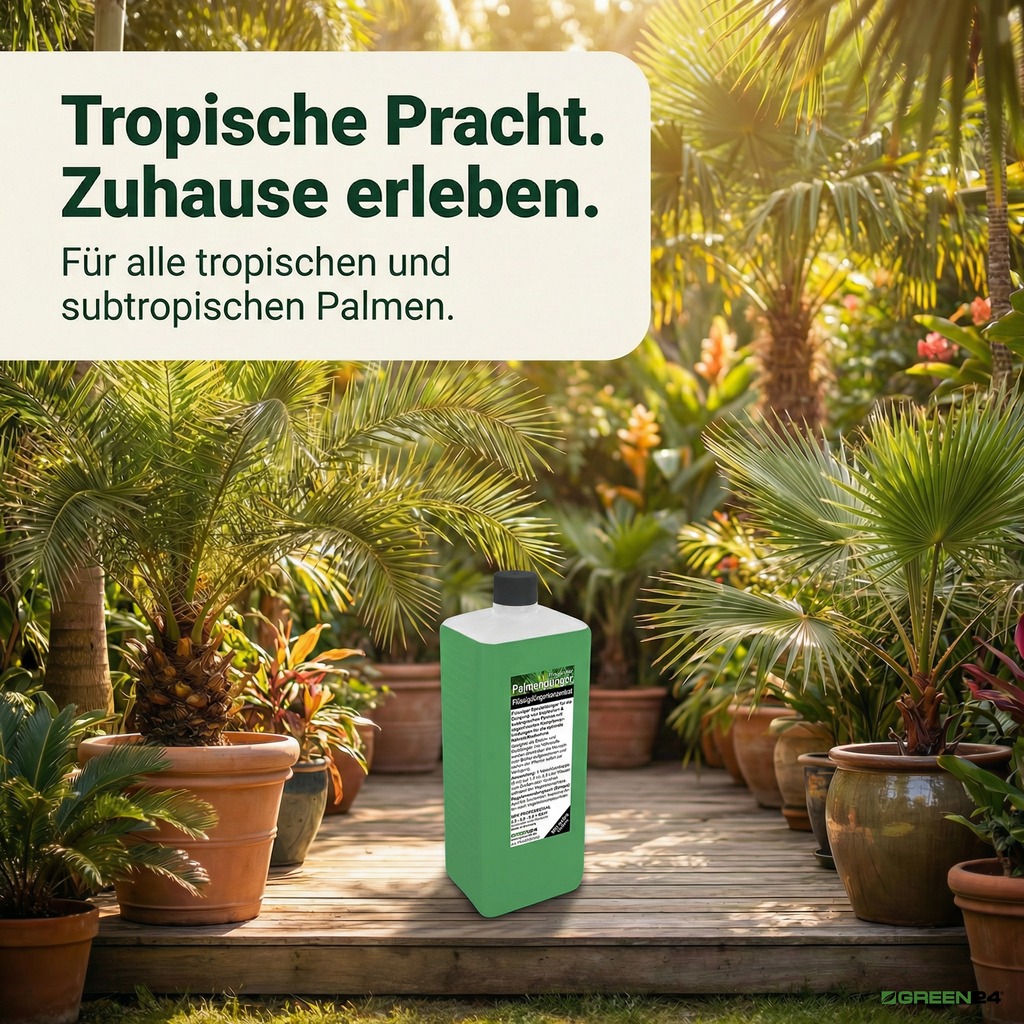 Palmendünger - Tropische Pracht. Zuhause erleben.