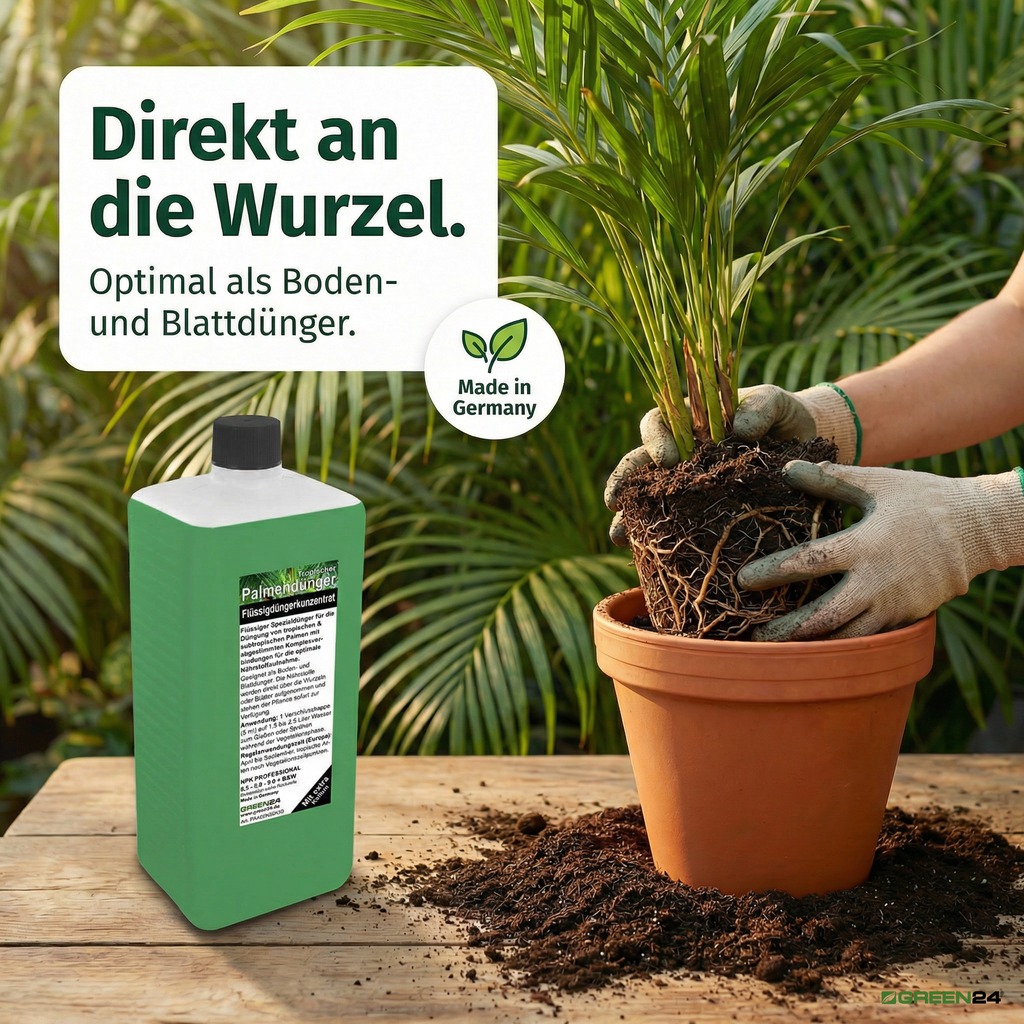Palmendünger NPK 8,5-6,0-9,0. Direkt an die Wurzel.
