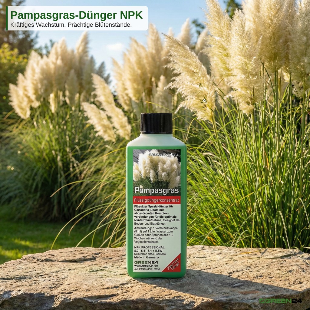  Pampasgras-Dünger NPK Flüssigdünger für kräftiges Wachstum und prächtige Blütenstände im Garten.