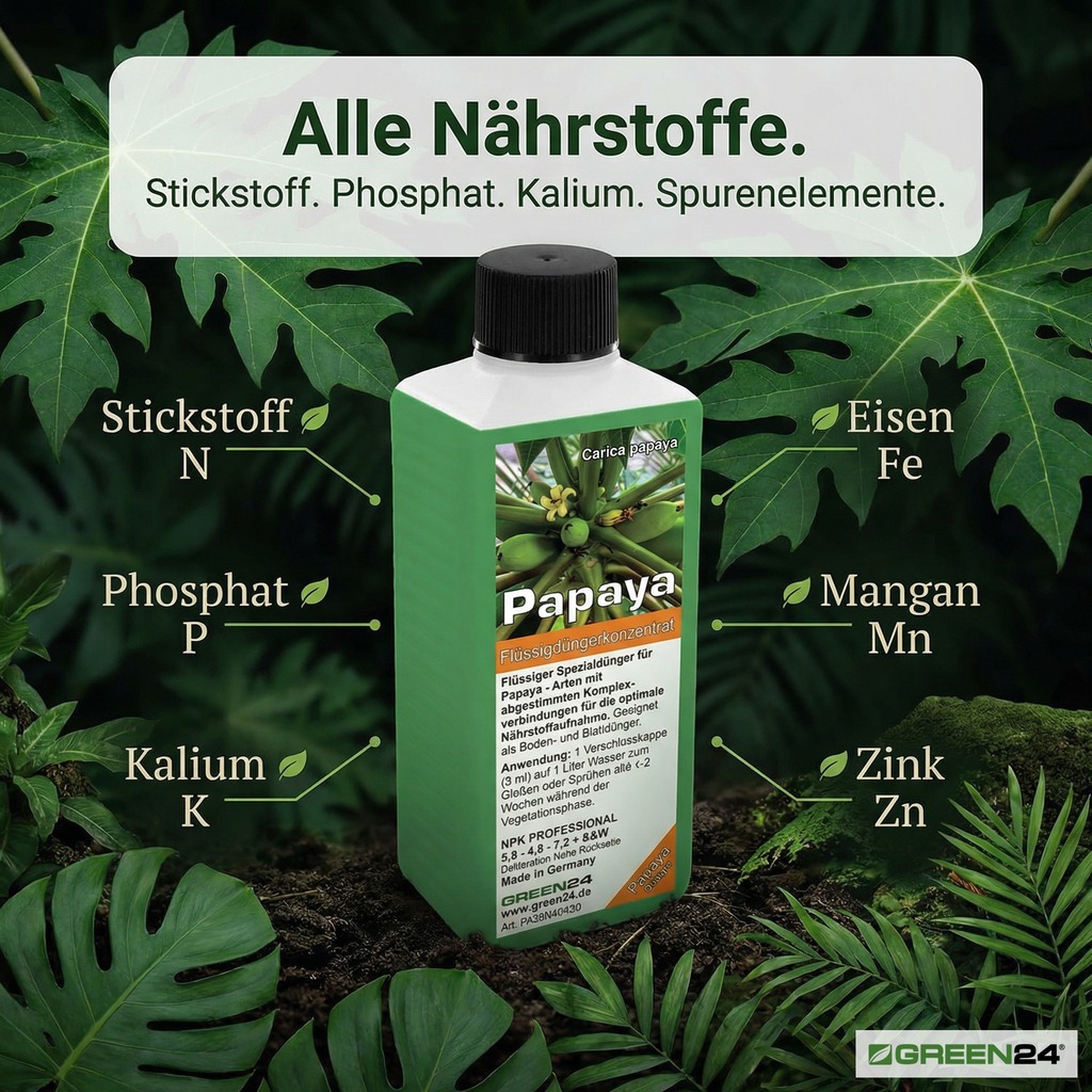 Nährstoff-Infografik: Stickstoff N, Phosphat P, Kalium K, Eisen Fe, Mangan Mn, Zink Zn – vollständige Nährstoffversorgung für Carica papaya
