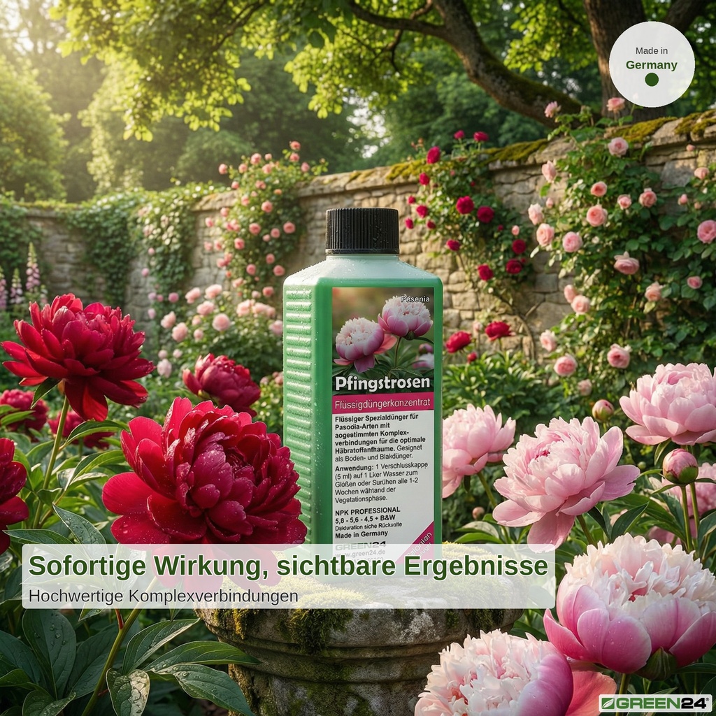 Pfingstrosen-Dünger Anwendung in einem romantischen Garten mit roten und rosa Pfingstrosen. 