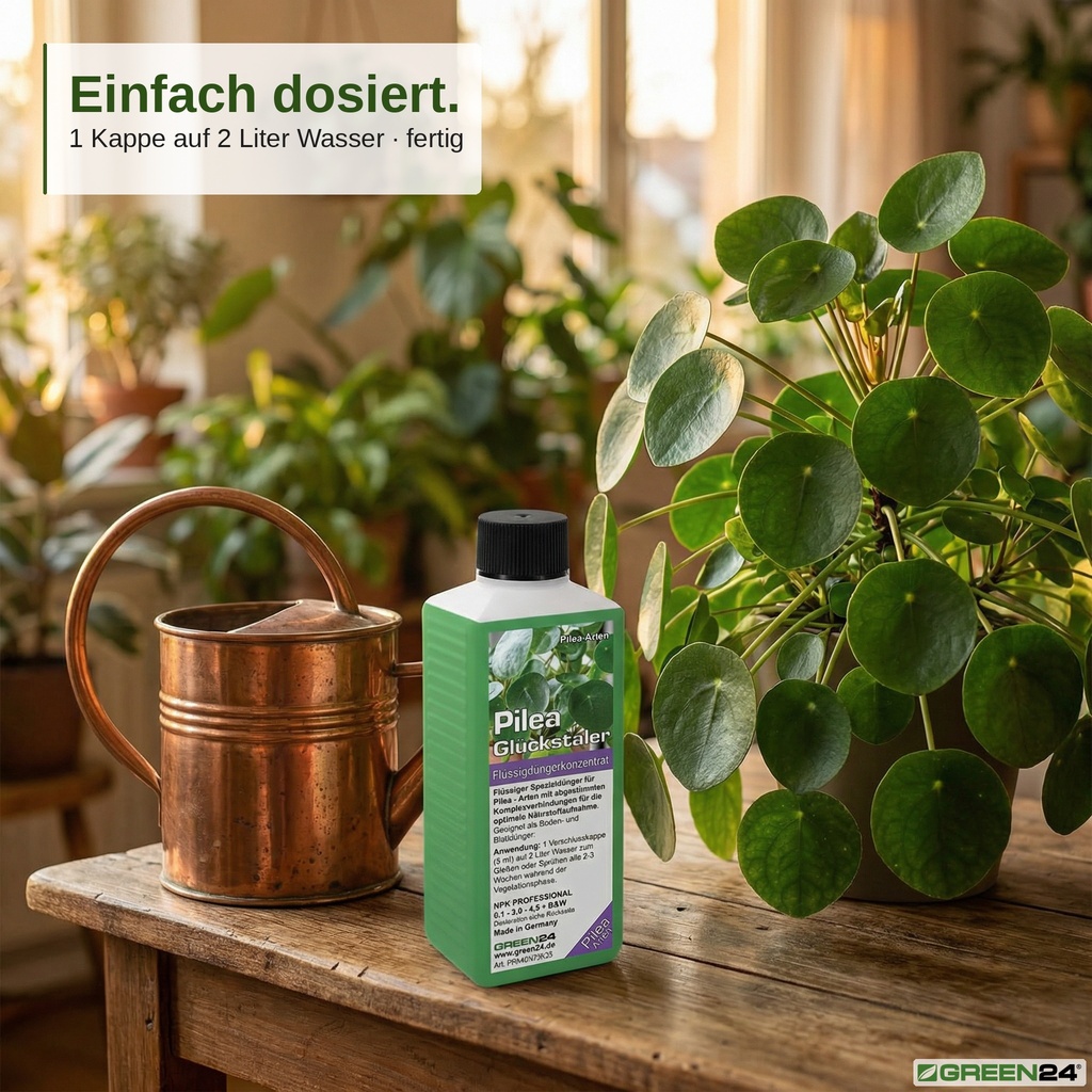 Anwendung des Pilea-Düngers