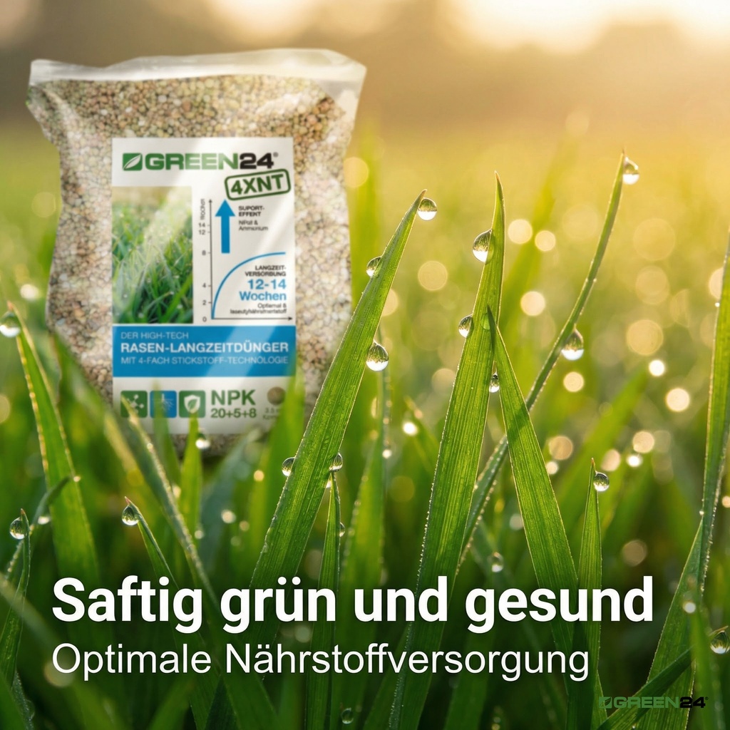 aftig grüner Rasen mit GREEN24 Rasendünger