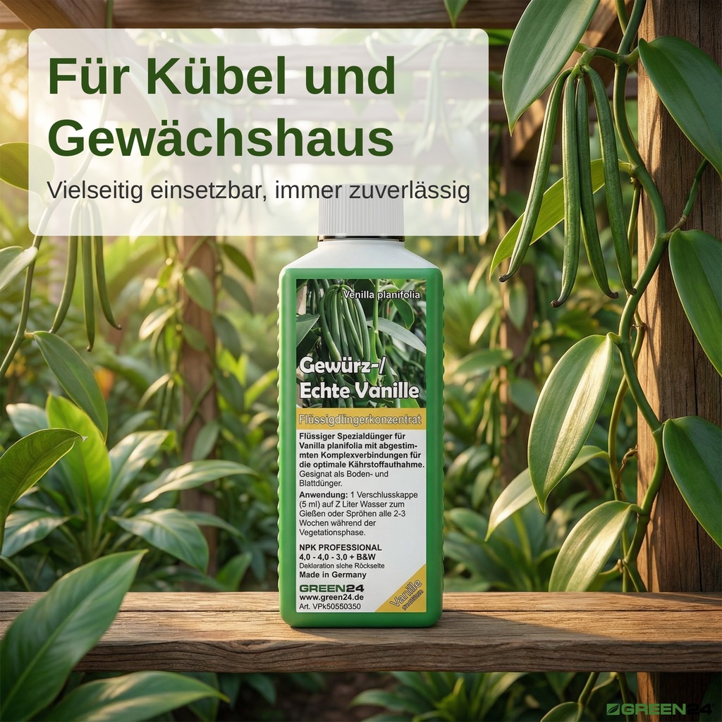 Vanille Flüssigdünger, Vanilla planifolia Ranken mit großen Blättern und Schoten, Spezialdünger für Kübel und Gewächshaus