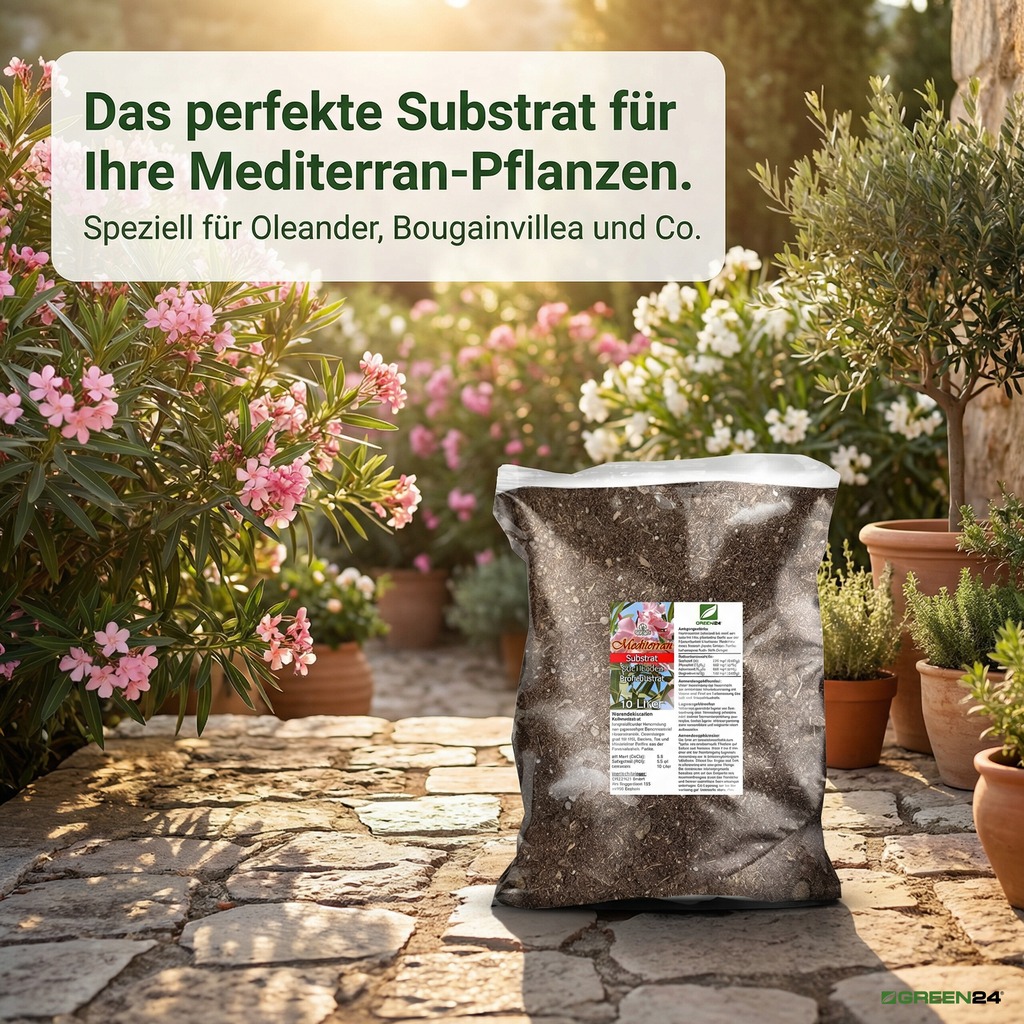 GREEN24 Mediterran Substrat 10 Liter für den Garten mit mediterranen Pflanzen und Blüten in Töpfen.