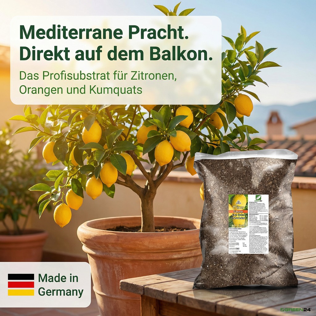  Zitruspflanzenerde Profi Linie für mediterrane Zitronenbäume im Kübel