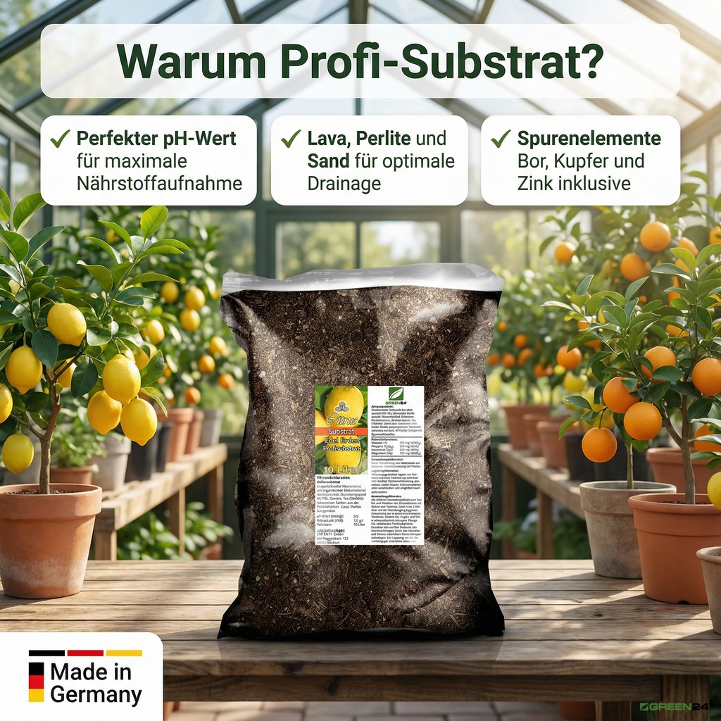 Zitruspflanzenerde Profi Linie mit drei Vorteilen: pH-Wert, Drainage und Spurenelemente, Made in Germany