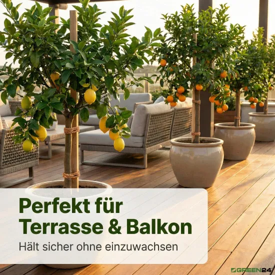 Kokosstrick im 200g Bund