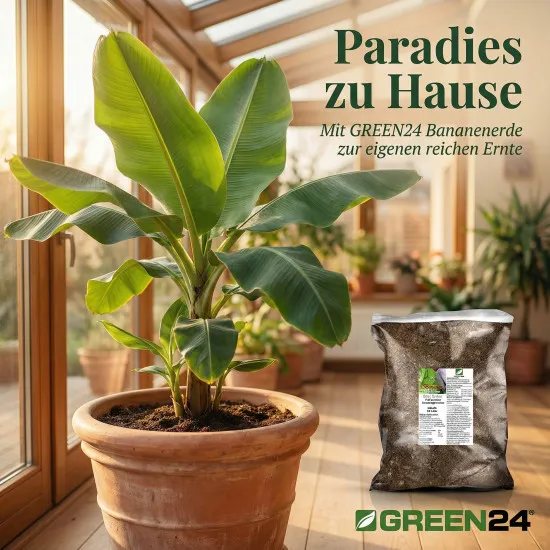 Bananenerde & Strelitzienerde – 10 Liter Premium-Substrat für tropische Pflanzen | Für Musa, Strelitzien & Ensete | Langzeitdünger inklusive | Optimale Drainage