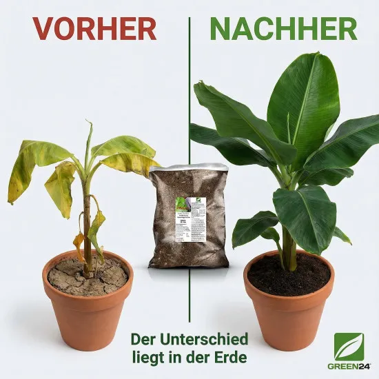 Bananenerde & Strelitzienerde – 10 Liter Premium-Substrat für tropische Pflanzen | Für Musa, Strelitzien & Ensete | Langzeitdünger inklusive | Optimale Drainage