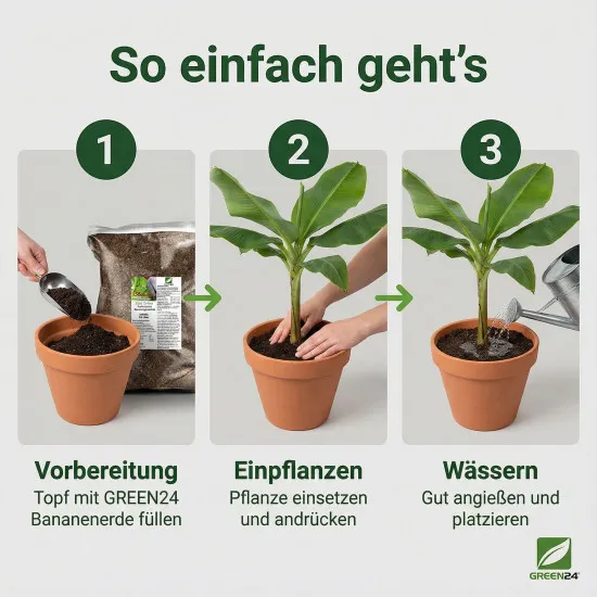Bananenerde & Strelitzienerde – 10 Liter Premium-Substrat für tropische Pflanzen | Für Musa, Strelitzien & Ensete | Langzeitdünger inklusive | Optimale Drainage