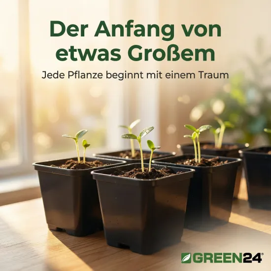 10 St. Pflanztöpfe 9x9x9,5cm Vierecktopf Profi Anzuchttopf