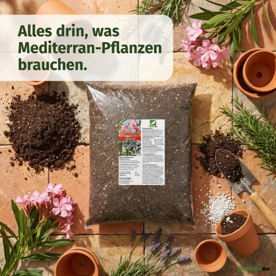Mediterran Substrat 10 Ltr. – Profi Erde für Oleander, Oliven & Jasmin, mediterrane Pflanzen