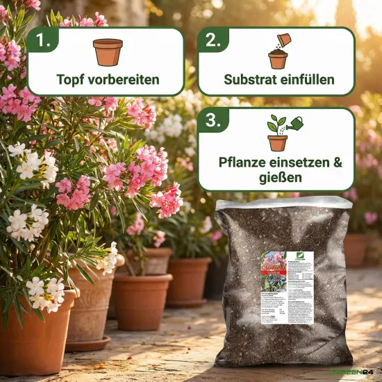 Mediterran Substrat 10 Ltr. – Profi Erde für Oleander, Oliven & Jasmin, mediterrane Pflanzen
