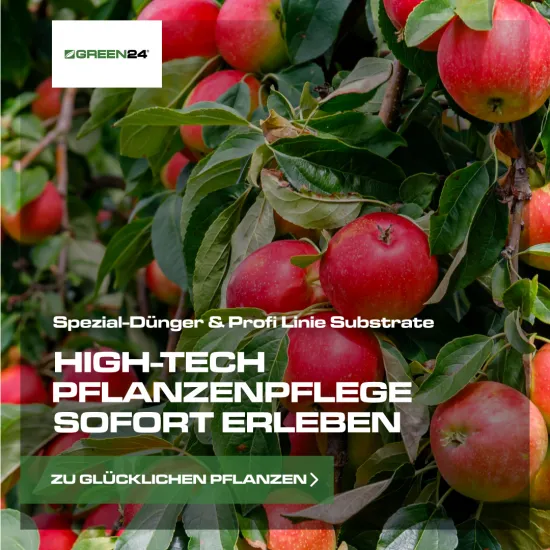 Premium Naturdünger Pellets - 5kg Pferdedung geruchsarm - Organischer Langzeitdünger 6 Monate Wirkung - NPK Gartendünger für Gemüse Obst Rosen Balkonpflanzen