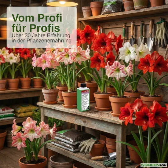 Amaryllis-Dünger Pro Blüte – 250ml Spezialdünger für kräftige Blütenpracht | Für intensive Farben & maximale Blütezeit | Professionelle Hippeastrum-Blütenpflege