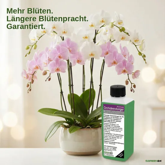 Orchideen Dünger Premium – 250ml Profi-Spezialdünger für alle Orchideenarten | Fördert Blütenpracht, Wurzelwachstum & Blattgesundheit | Für Phalaenopsis, Cattleya, Dendrobium