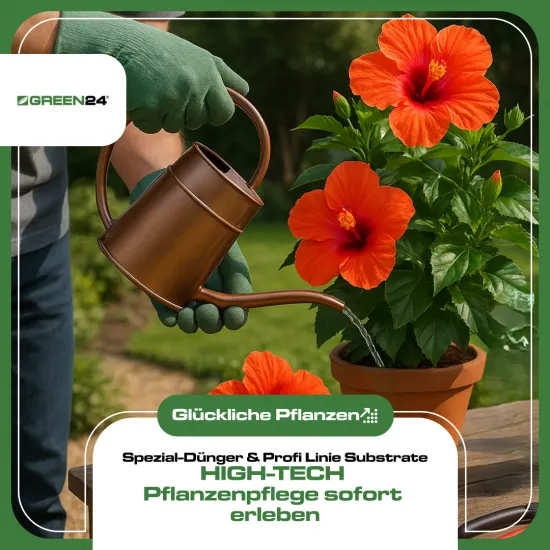 Hibiskus-Dünger 250ml – Spezial-Flüssigdünger für alle Hibiskus-Arten (Garten & Zimmer) | Fördert üppige Blüten, verhindert gelbe Blätter & sorgt für kräftiges Wachstum | NPK Profi-Pflege für Hibiscus