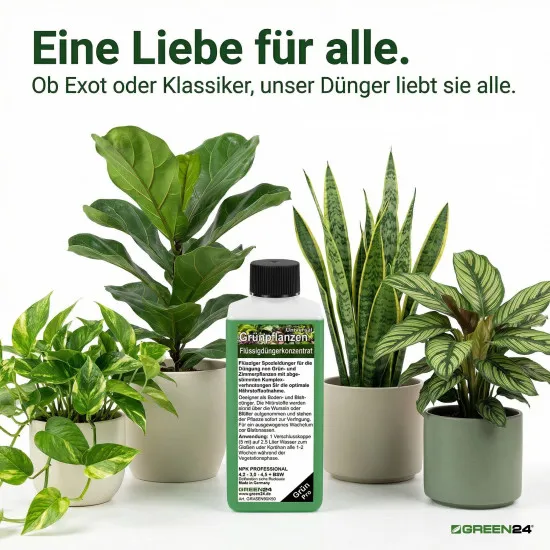 Zimmerpflanzen- & Grünpflanzendünger Pro 250ml Konzentrat – Profi Flüssigdünger für alle Grünpflanzen