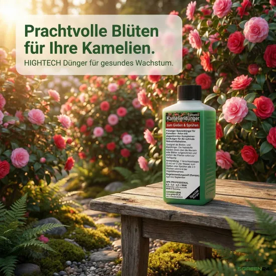 Kamelien-Dünger Camellia-Arten Flüssigdünger, NPK-Dünger für prachtvolle Blüten, 250ml Konzentrat