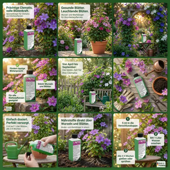 GREEN24 Clematis Dünger – 250ml Spezialdünger für Waldreben | Maximale Blütenpracht | Ideal für alle Kletterpflanzen | NPK Konzentrat