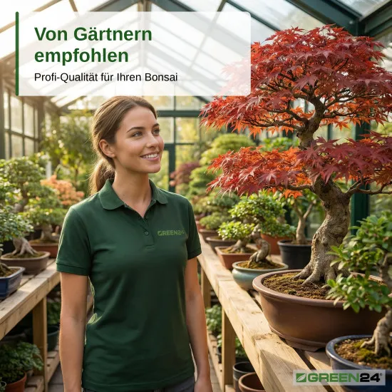 Bonsai Stickstoff+ Dünger – 250ml Wachstumsbooster für üppiges Grün | Fördert Blattentwicklung & Triebwachstum | Spezialdünger für vitale Bonsai-Blätter
