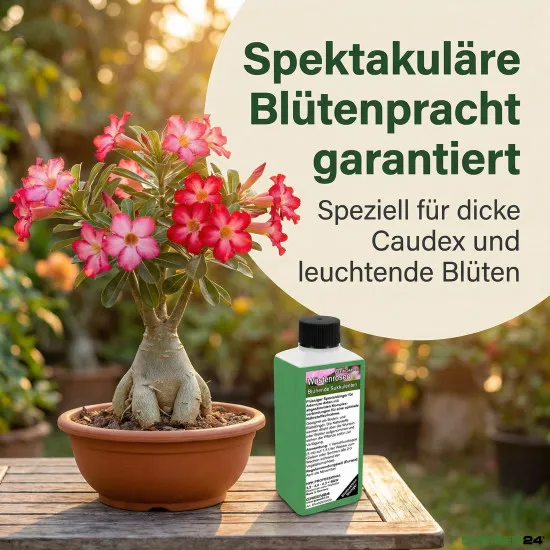 Wüstenrosen Dünger – 250ml Spezialdünger für Adenium obesum | Für dicken Caudex & reiche Blütenpracht | Ideal für alle Flaschenbäume & Caudexpflanzen