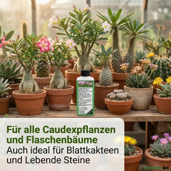 Wüstenrosen Dünger – 250ml Spezialdünger für Adenium obesum | Für dicken Caudex & reiche Blütenpracht | Ideal für alle Flaschenbäume & Caudexpflanzen