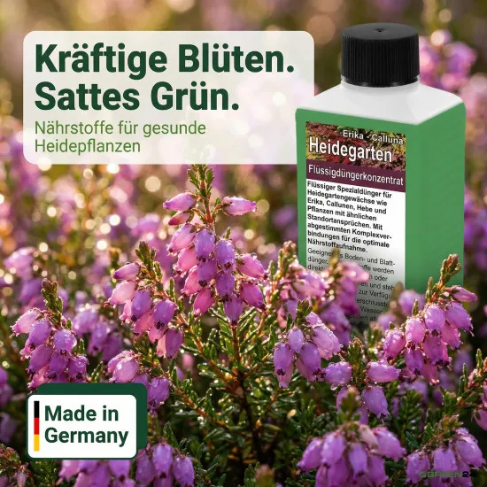 Heidegarten Dünger für Erika & Calluna – 250 ml Spezialdünger für sauren Boden, kräftige Blüten und gesundes Wachstum