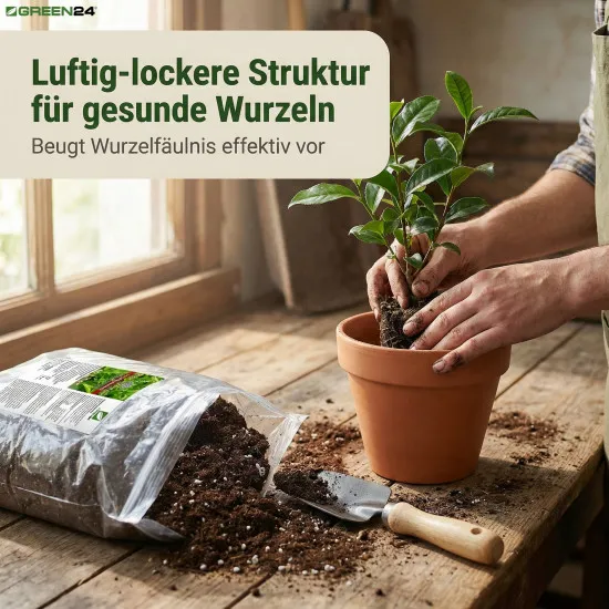 Tee-Pflanzen Erde PROFI LINIE – 10L Camellia sinensis Substrat