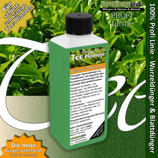 Camellia sinensis, Tea Plant - Liquid Fertilizer 250ml