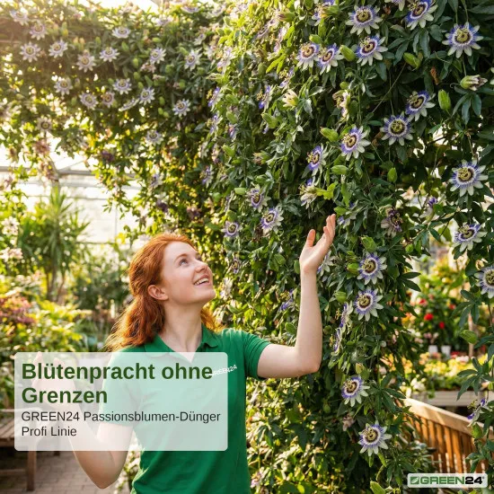 Passionsblumen Dünger PROFI LINIE 250 ml – Spezial-Flüssigdünger für eine exotische Blütenpracht Ihrer Passiflora