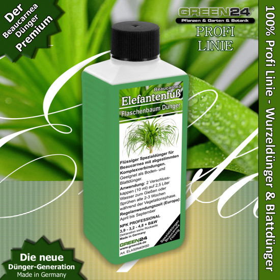 Elefantenfuss Dünger Beaucarnea Flüssigdünger 250ml