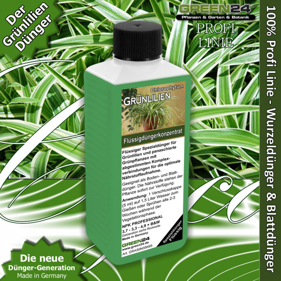 Grünlilien Dünger Chlorophytum düngen 250ml