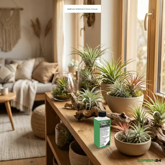 Epiphyten-Dünger Bromelien Tillandsien Flüssigdünger 250ml