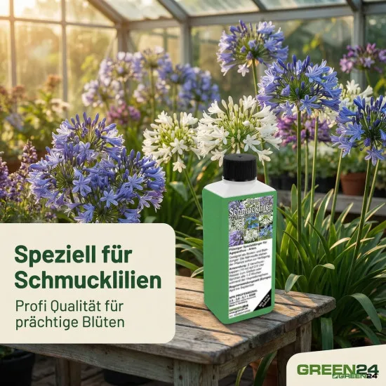 Schmucklilien Dünger Agapanthus düngen 250ml