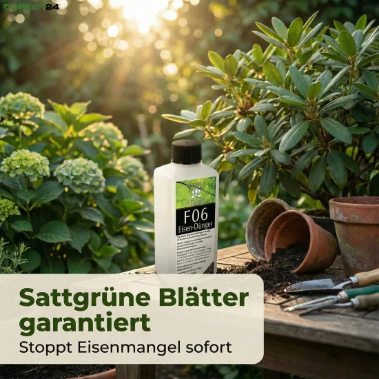 Purital F06 Supreme Eisen-Dünger flüssig, Eisendüngerlösung 6,3% vollständig wasserlöslich 250ml
