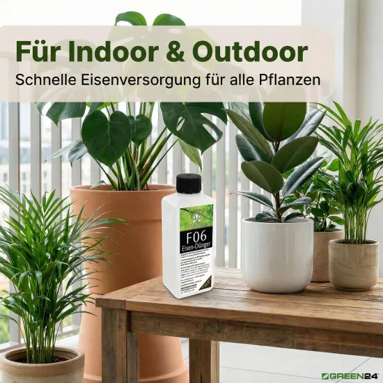 Purital F06 Supreme Eisen-Dünger flüssig, Eisendüngerlösung 6,3% vollständig wasserlöslich 250ml