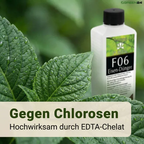 Purital F06 Supreme Eisen-Dünger flüssig, Eisendüngerlösung 6,3% vollständig wasserlöslich 250ml