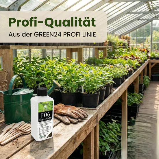 Purital F06 Supreme Eisen-Dünger flüssig, Eisendüngerlösung 6,3% vollständig wasserlöslich 250ml